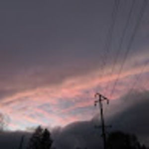 Meet your Posher, Collin